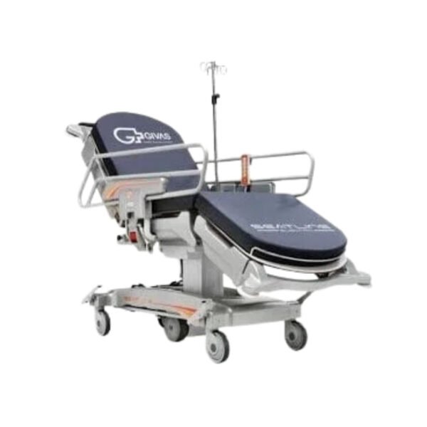 SEATLINE ELÉCTRICA - CAMILLA MULTIFUNCIONAL PARA TRATAMIENTOS