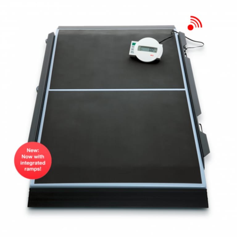 BASCULA DIGITAL DE PLATAFORMA 360 KG DIV 100G TARA AUTO-HOLD BMI P/CAMILLA